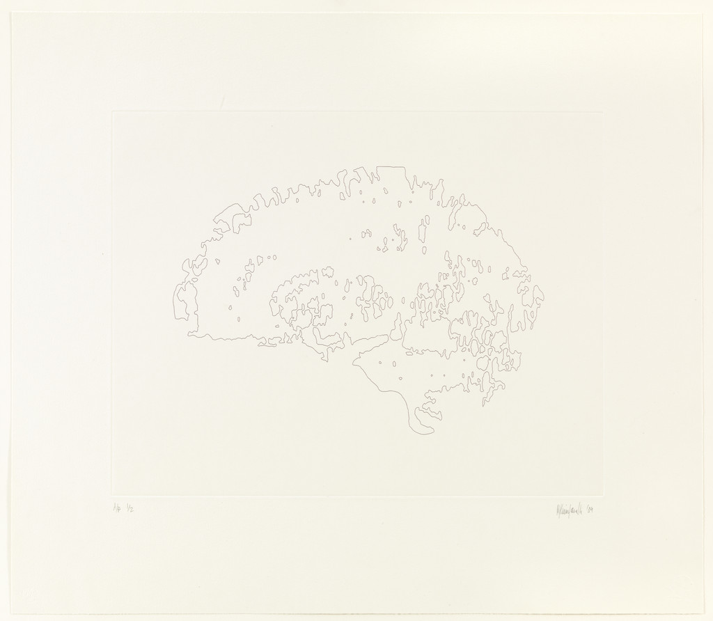 Mapping II (Brain)