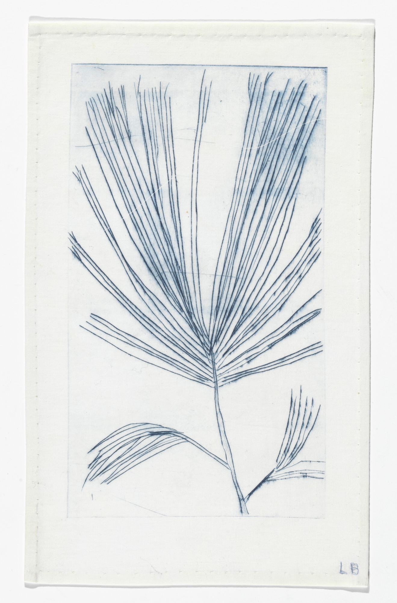 Louise Bourgeois. Untitled (Branch with Needles), state II of II, in Les Arbres (3), from the editioned series of portfolios, Les Arbres (1-6)