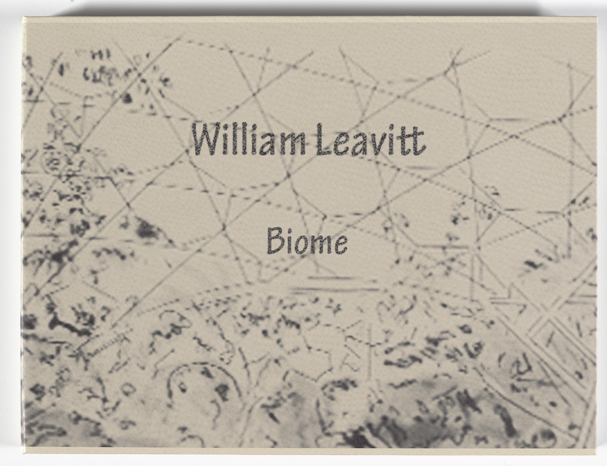 William Leavitt. Biome