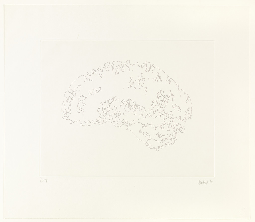 Mapping III (Brain)