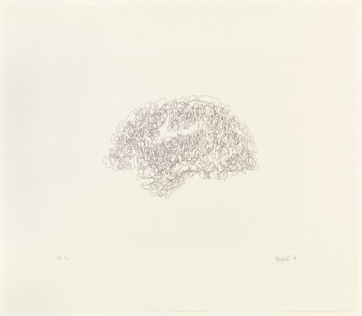 Mapping V (Brain)