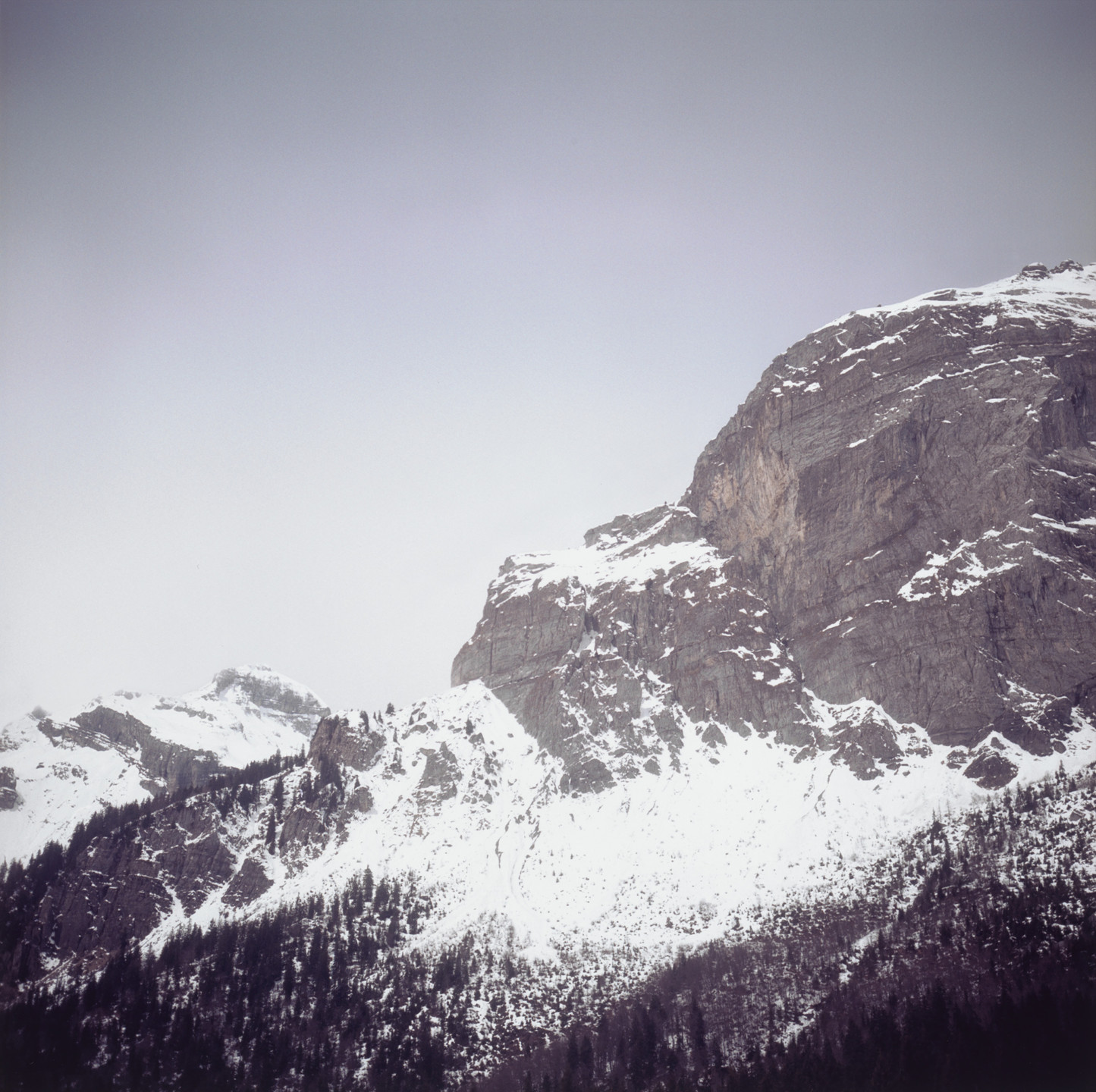 Fullmoon Yesnaby 2007/ダレン アーモンド/ポスター Fullmoon