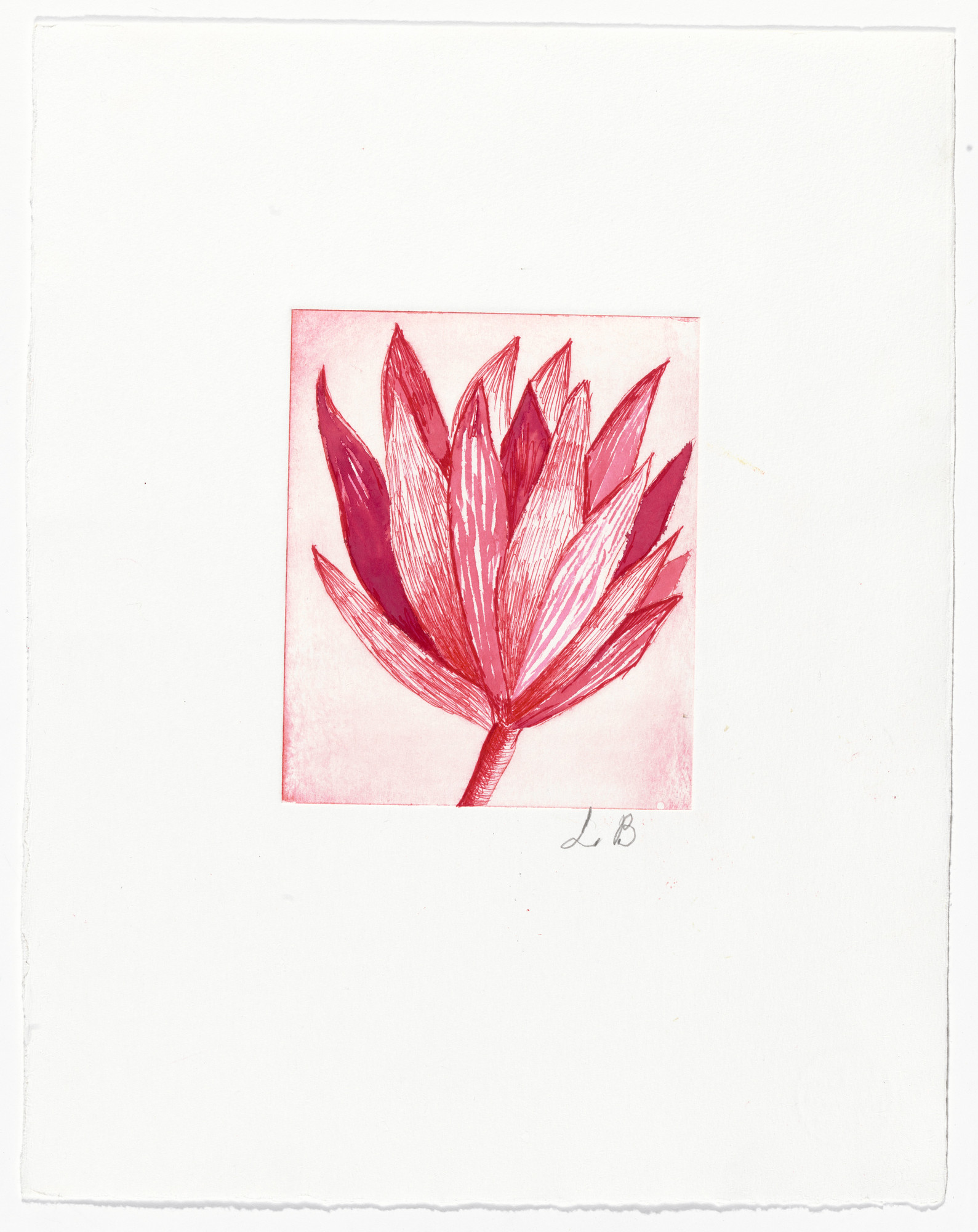 Louise Bourgeois. Untitled (Branch with Leaf Cluster), only state, variant, in Les Arbres (3), from the editioned series of portfolios, Les Arbres (1-6)