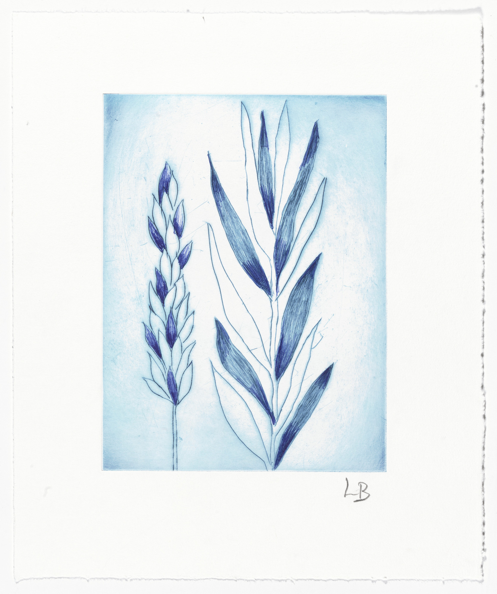 Louise Bourgeois. Untitled (Holiday Laurel), state IV of V, variant