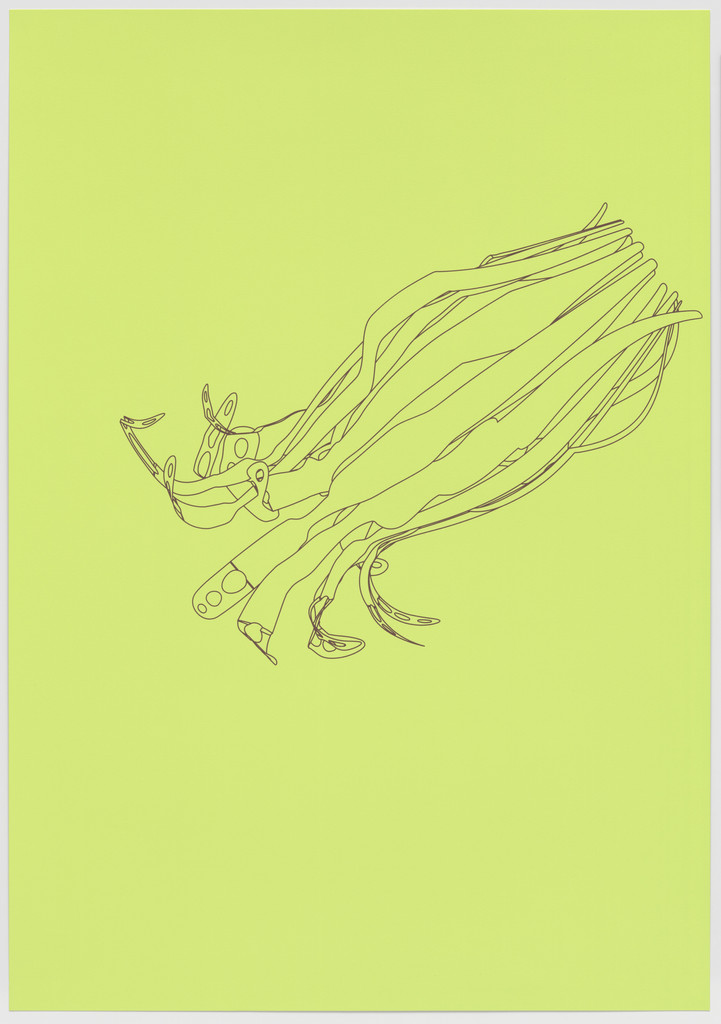 Program