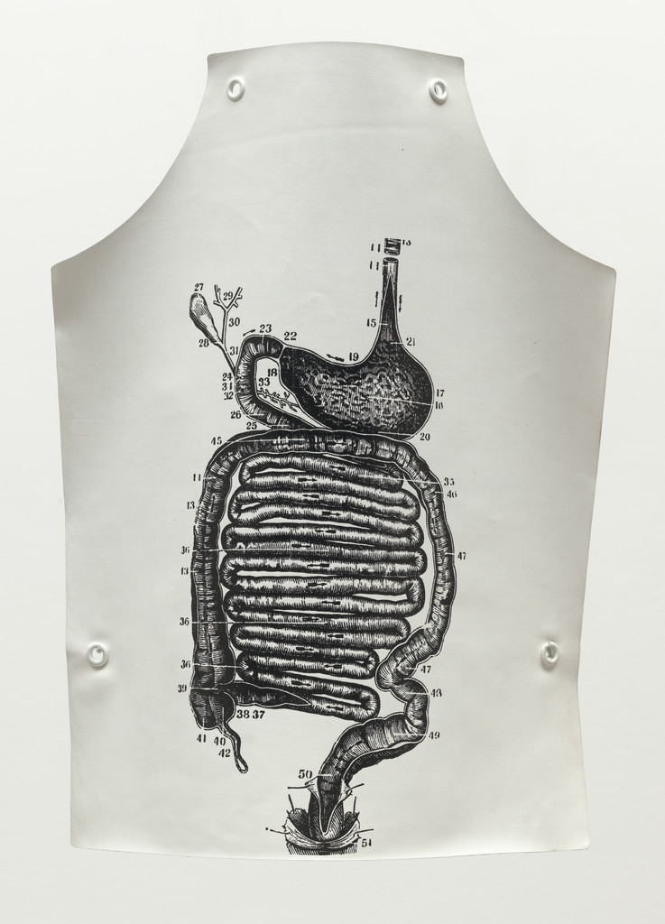 Apron (Stomach Anatomy Apron)