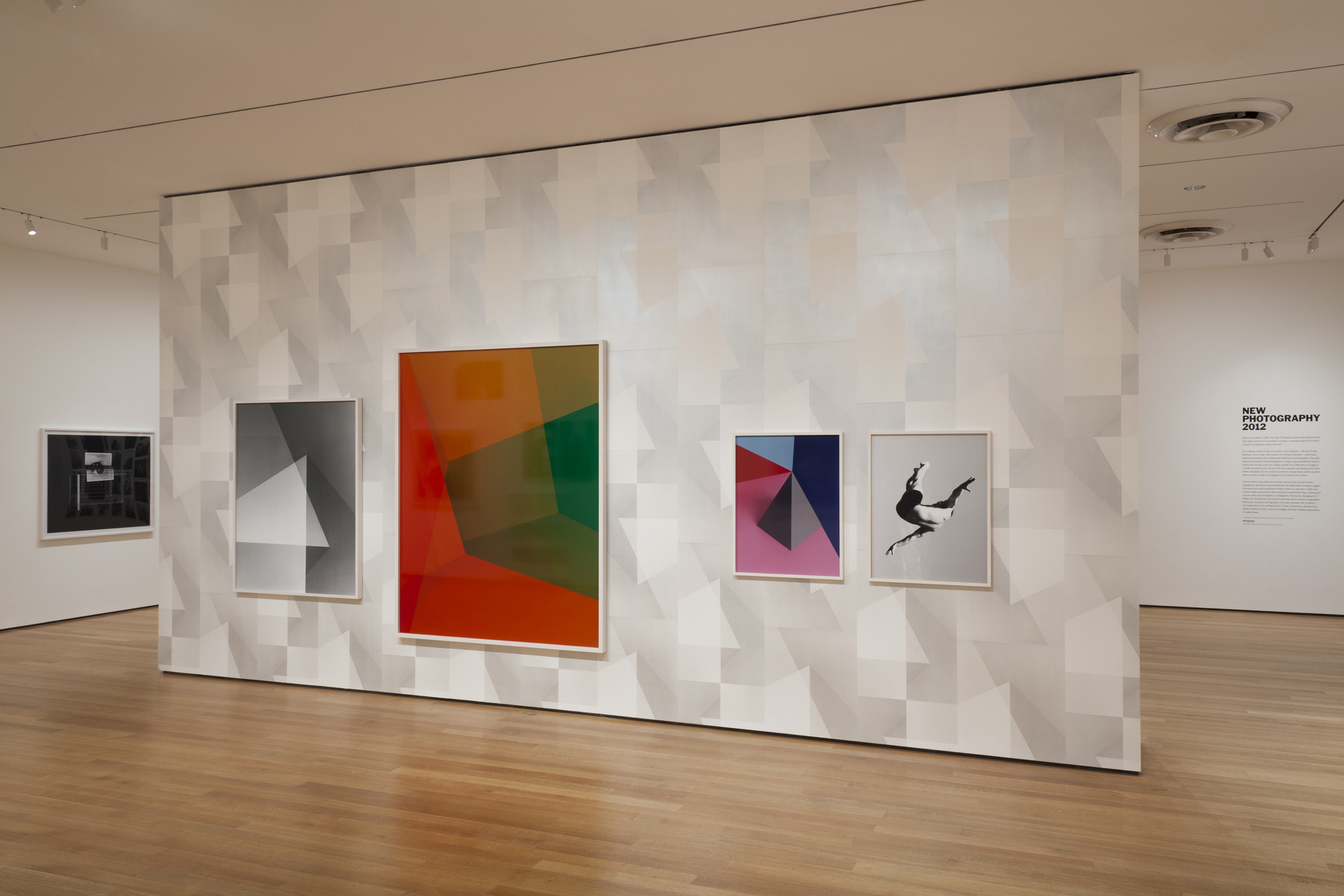 Shirana Shahbazi. Untitled. 2012