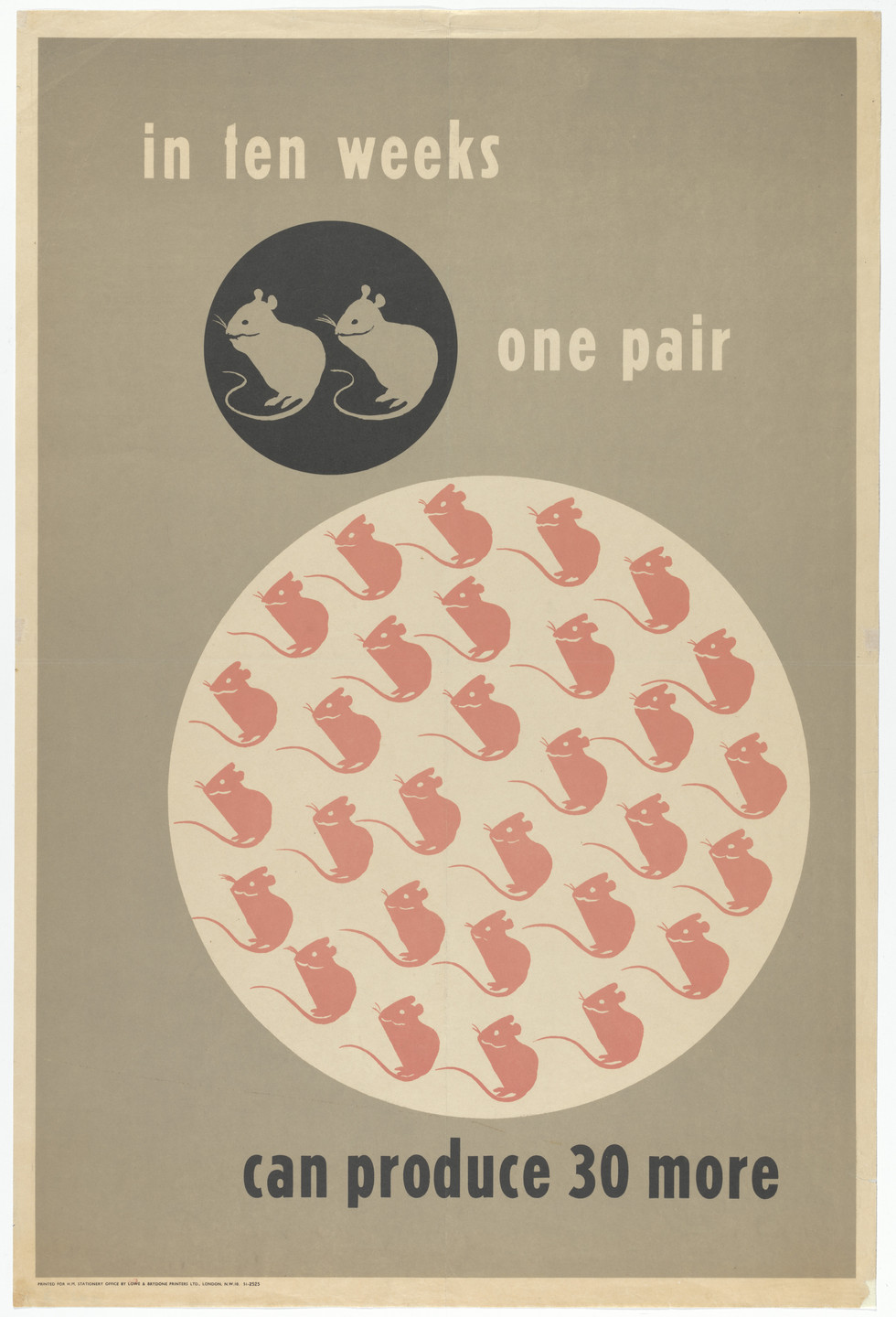Herbert Tomlinson. In Ten Weeks One Pair. 1939-1945