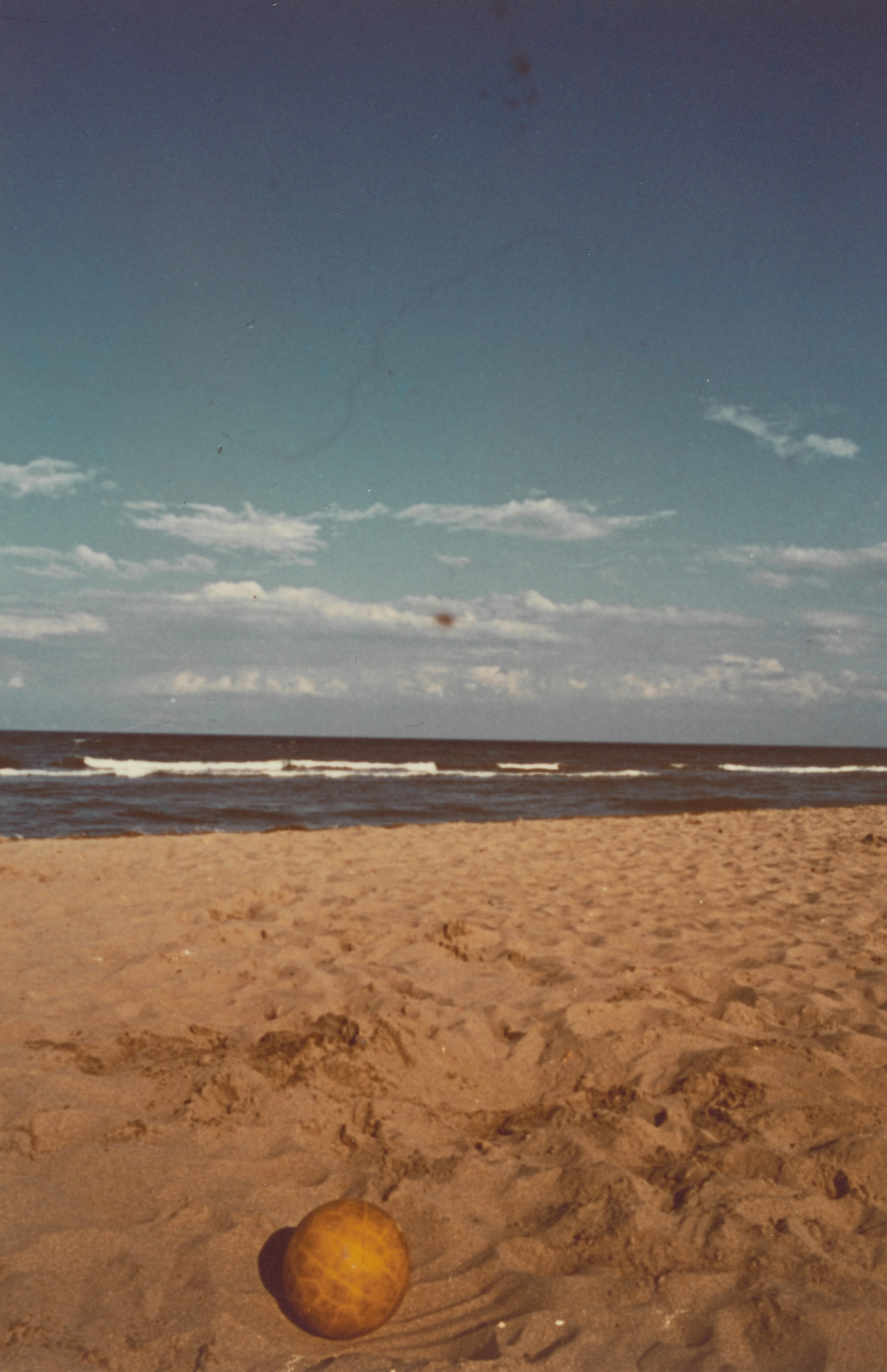 Luigi Ghirri. Untitled