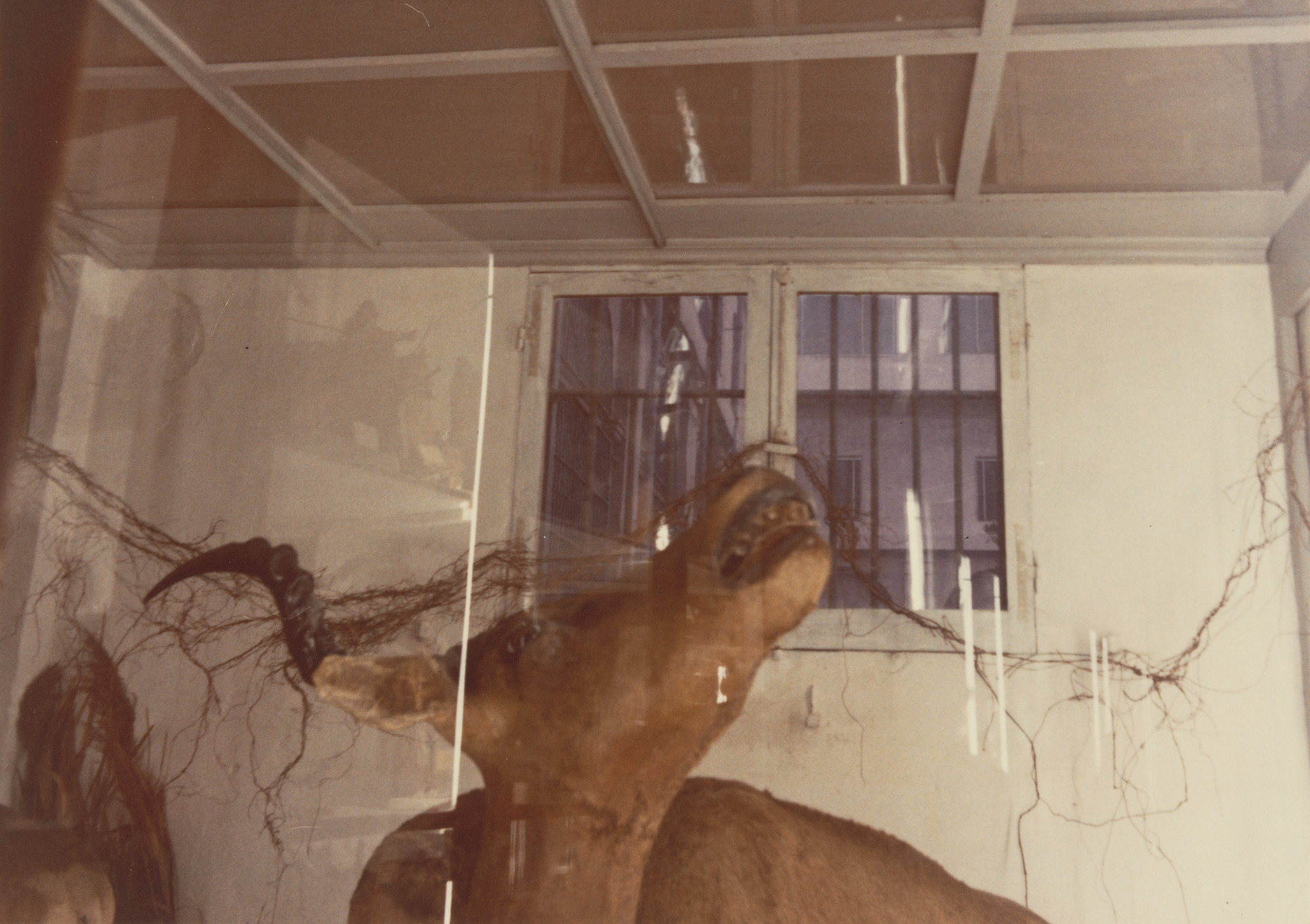Luigi Ghirri. Untitled