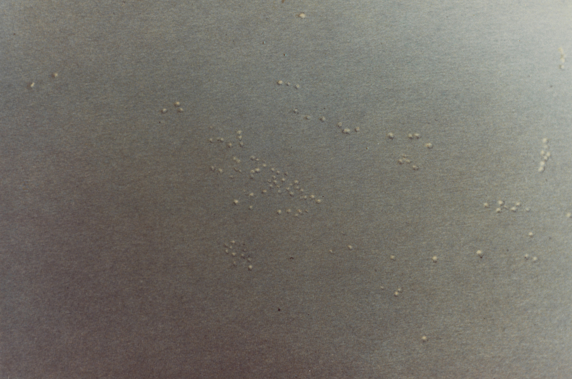 Luigi Ghirri. Week End