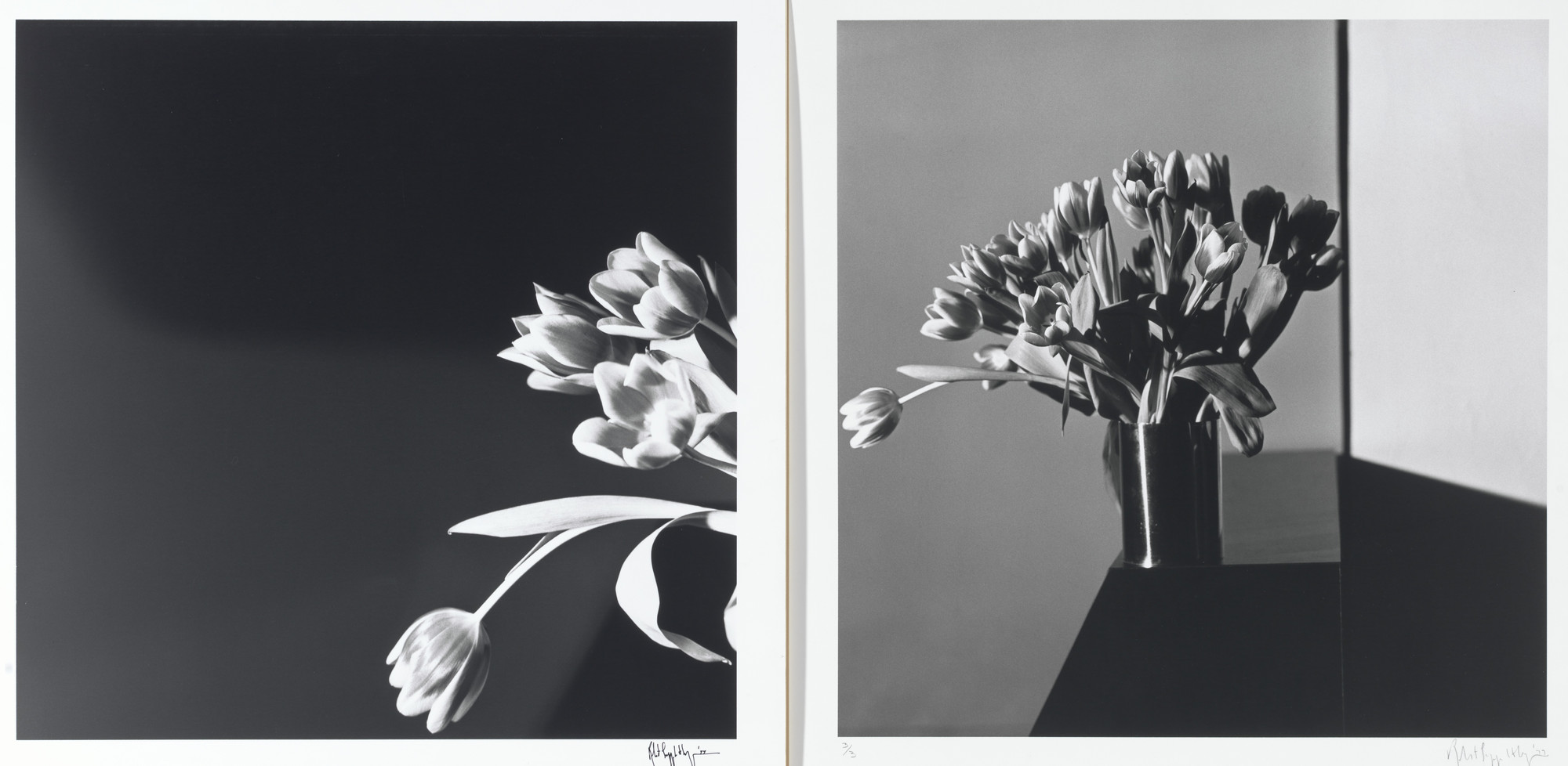 アート・デザイン・音楽 MAPPLETHORPE mapplethorpe Robert Mapplethorpe