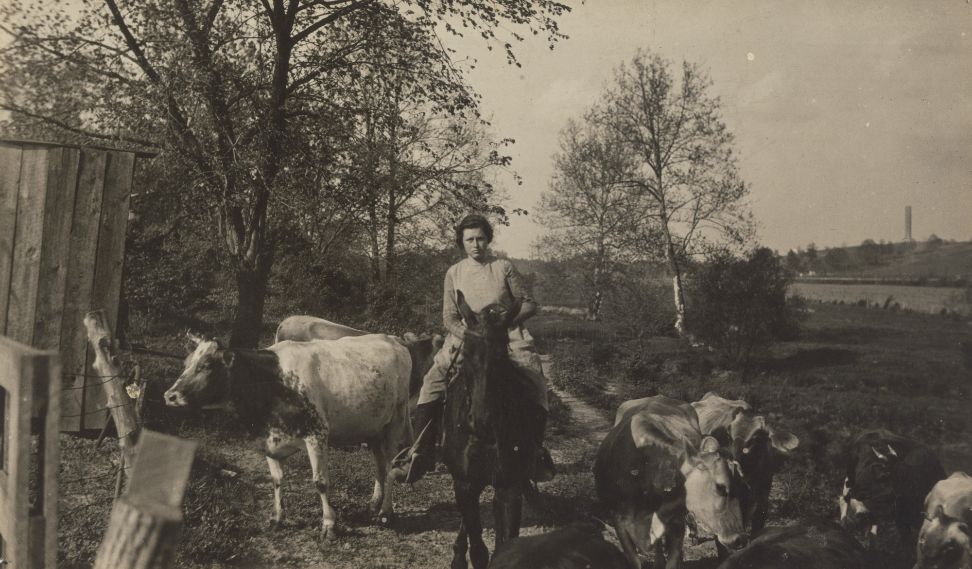 Lewis Wickes Hine. Near Elizabethtown, Kentucky