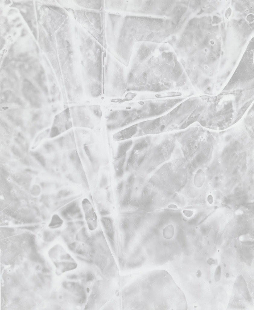 46, James Welling, 2009