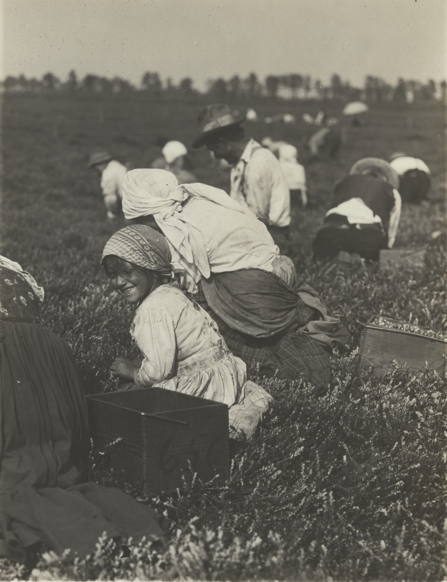 Lewis Wickes Hine. Whitesbog, Browns Mills, New Jersey