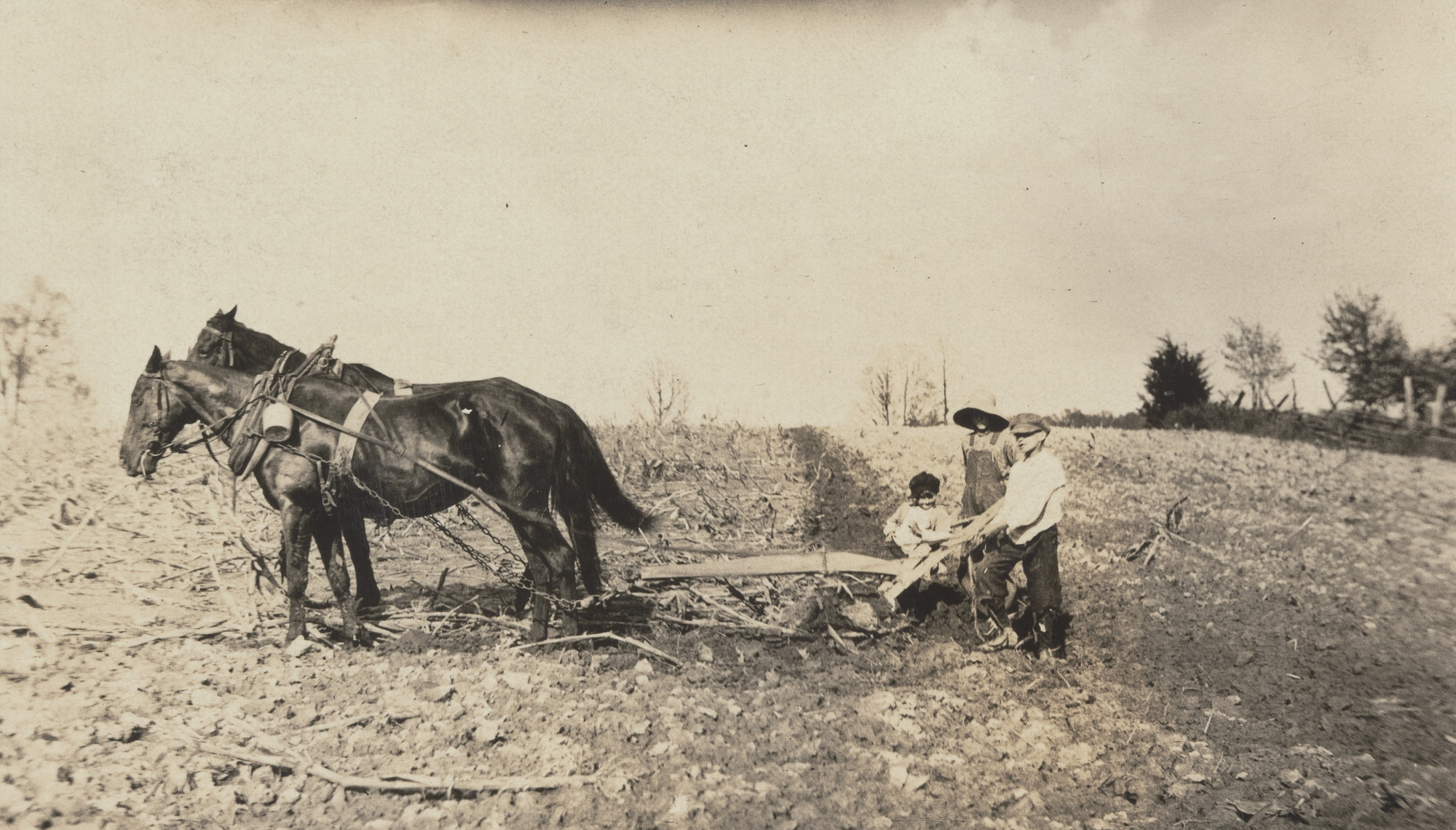 Lewis Wickes Hine. Willie Nall, Raymond Jones, and Denver Jones, near Elizabethtown, Kentucky