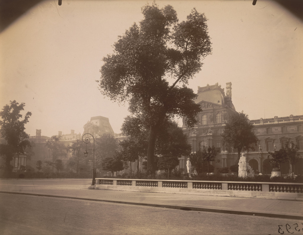 Cour du Louvre