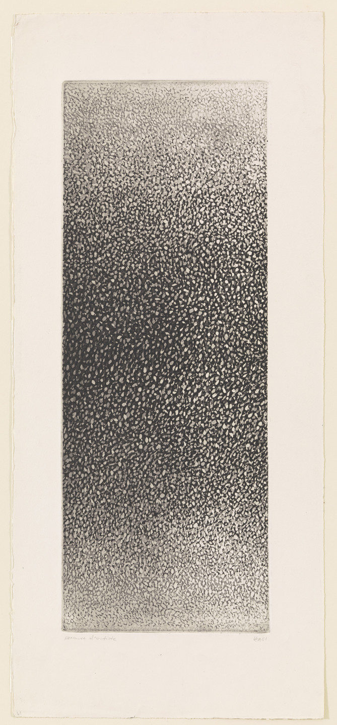 Hans Haacke. Untitled. 1961