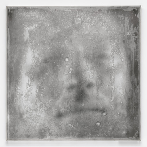 Untitled from the series Dried Narcissus (Narciso seco)