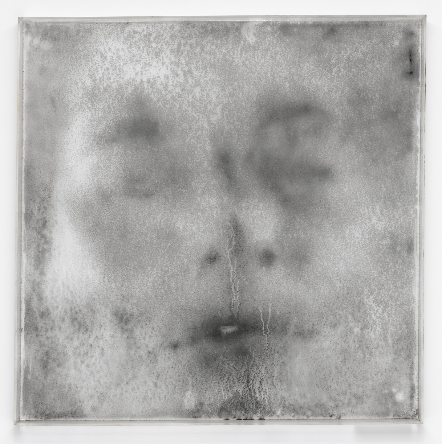 Oscar Muñoz. Untitled from the series Dried Narcissus (Narciso seco). 1996