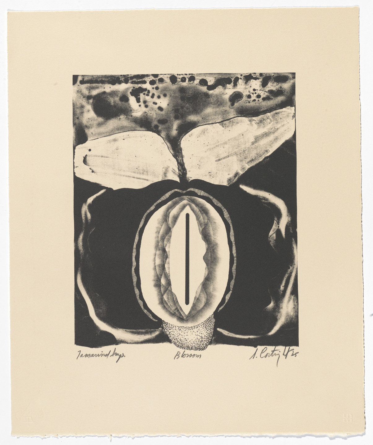 Steven Cortright. Blossom. 1965