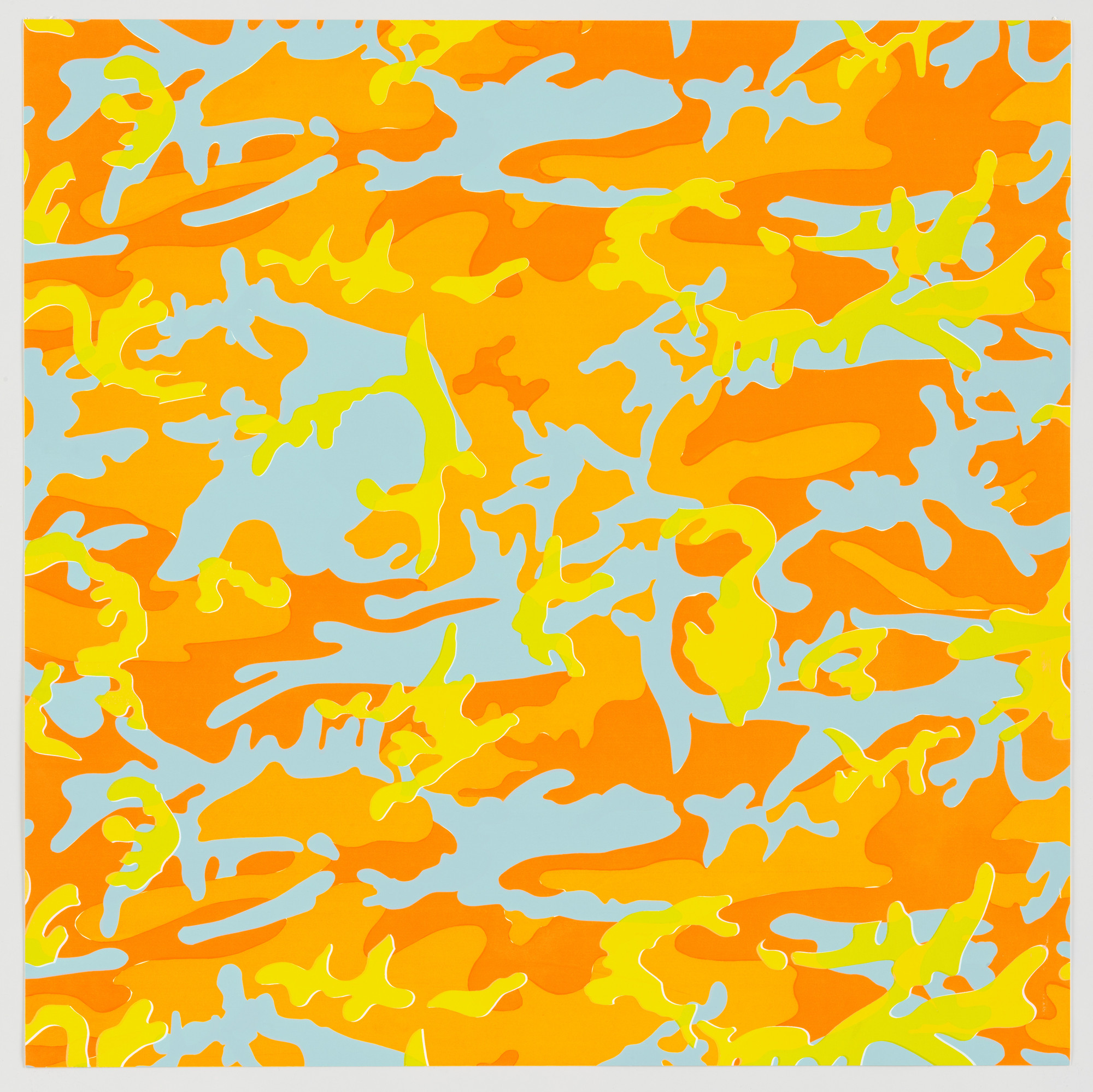 Andy Warhol. Untitled from Camouflage