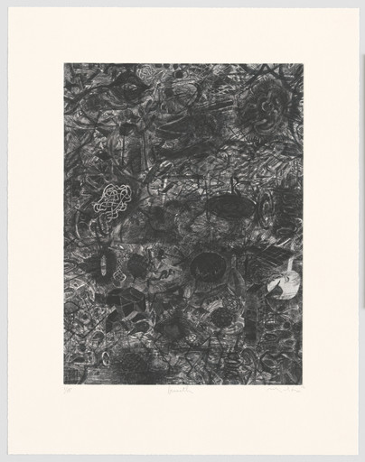 Mark Fox. beneath