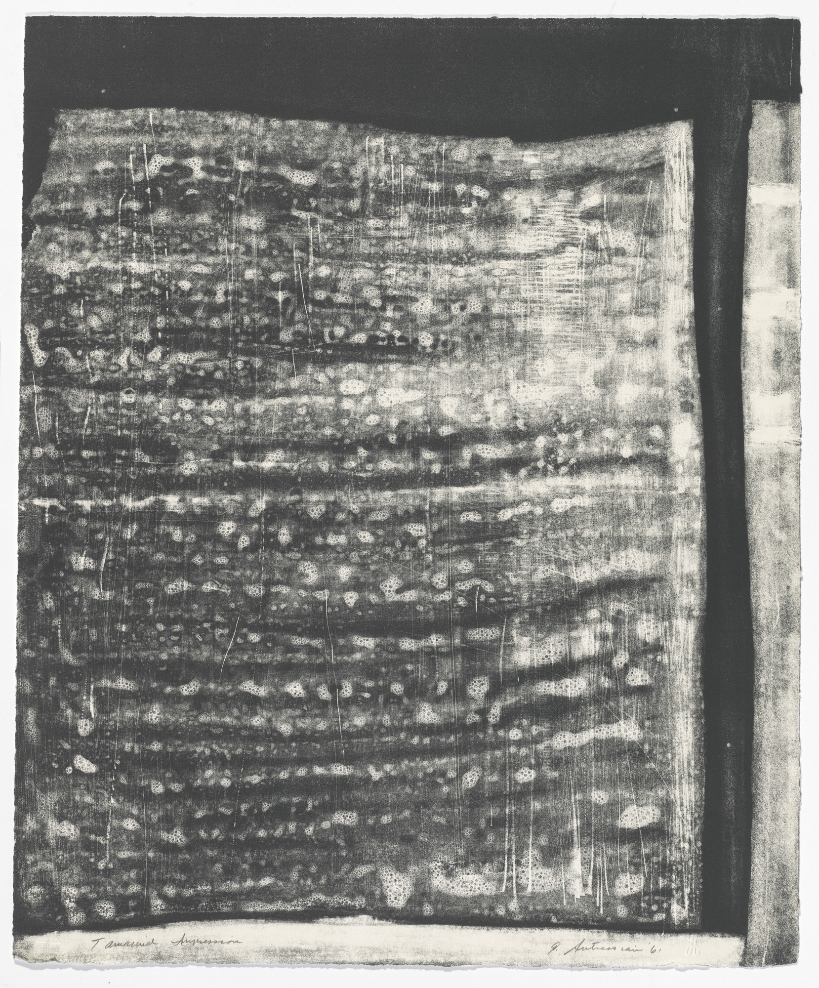 Garo Antreasian. Untitled (Fragments VII)