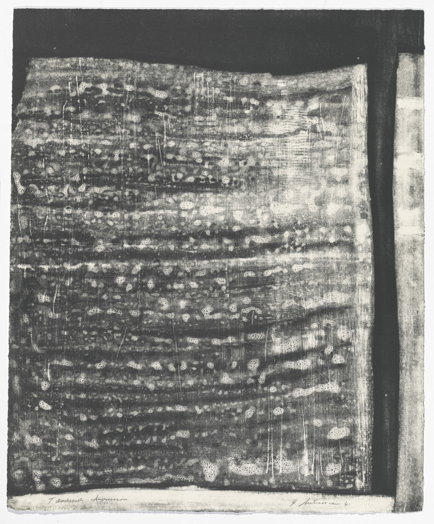 Untitled (Fragments VII)