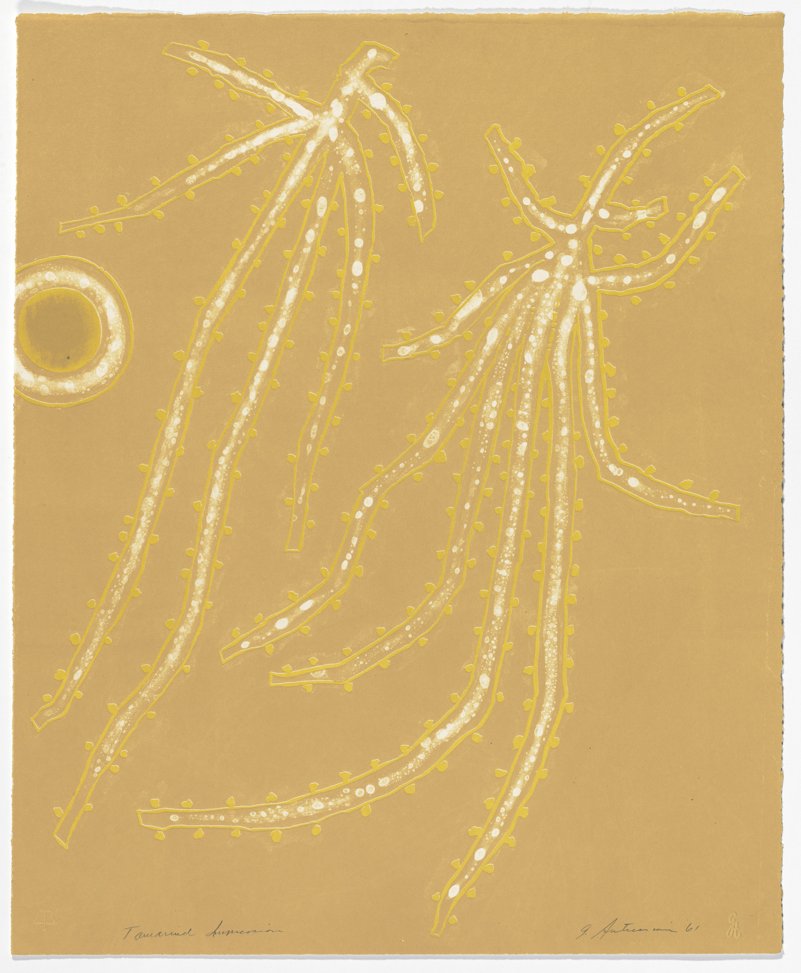 Garo Antreasian. Untitled (Fragments IX)