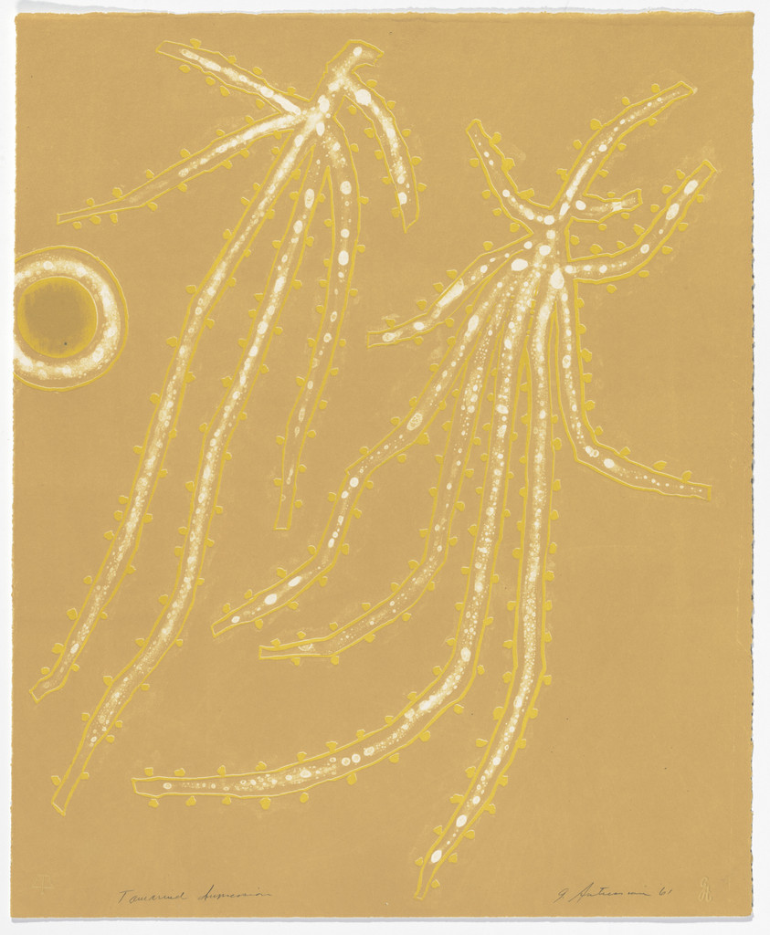 Untitled (Fragments IX)