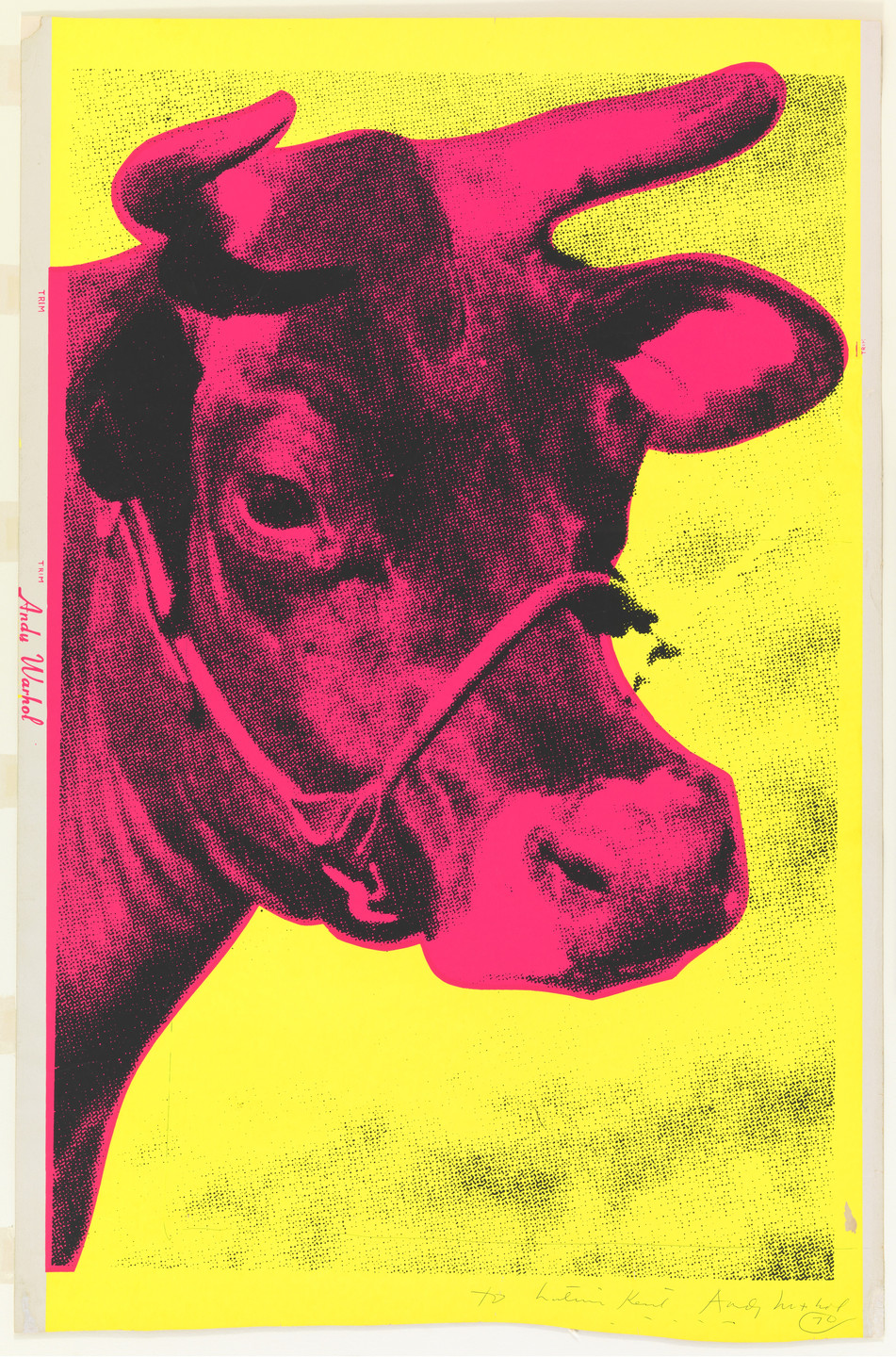 Andy Warhol Cow 1966 Moma