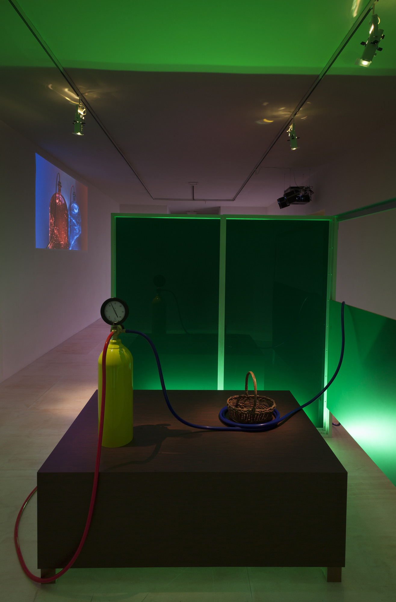 Mike Kelley. Kandor 13