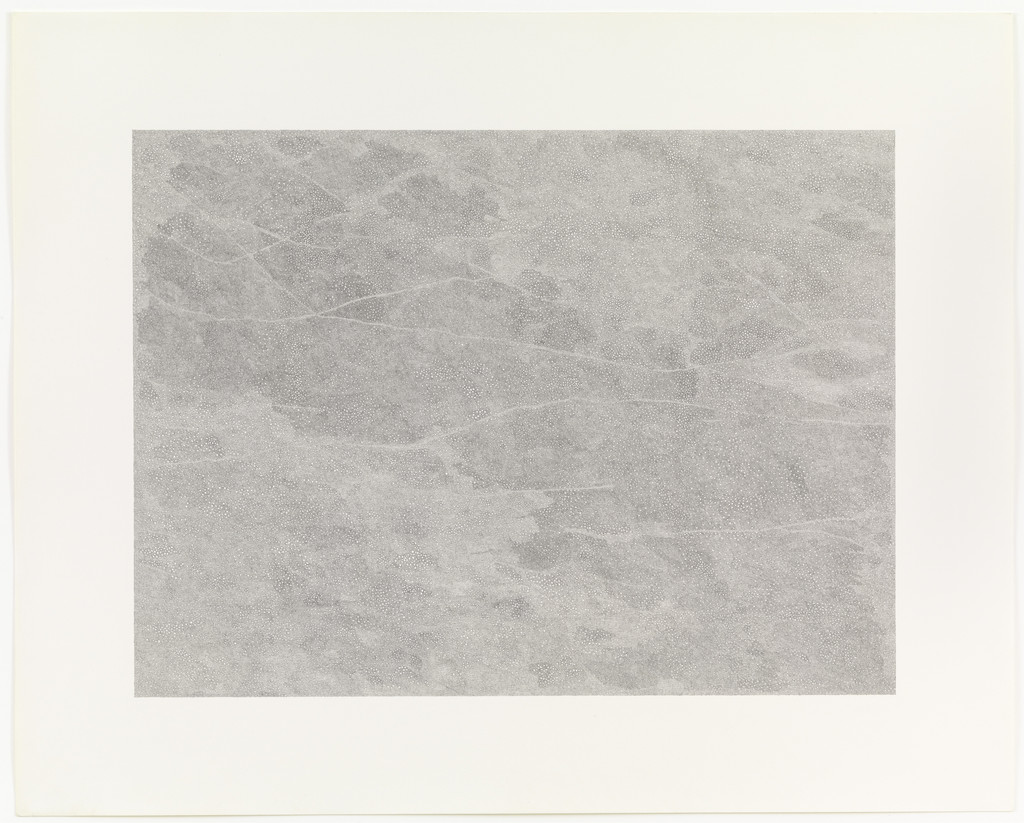 Topography