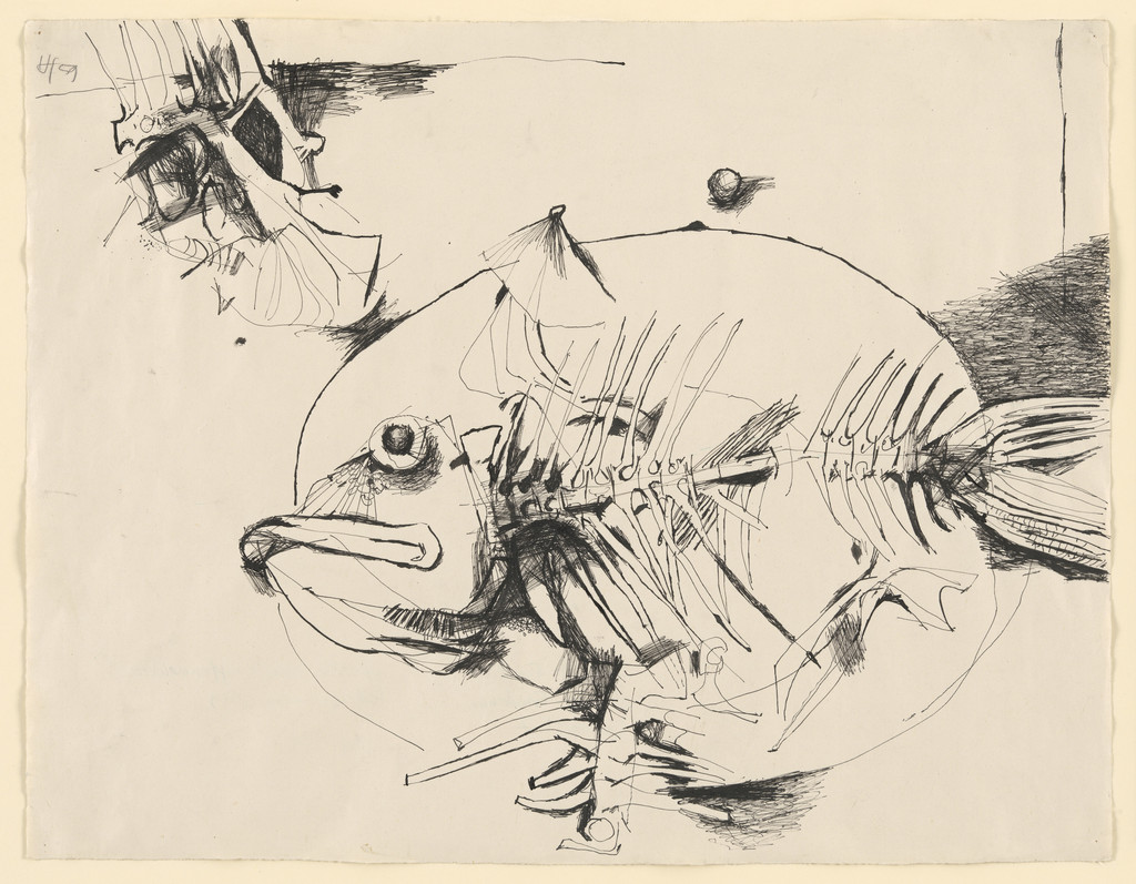 Remains of a Meal of Carp