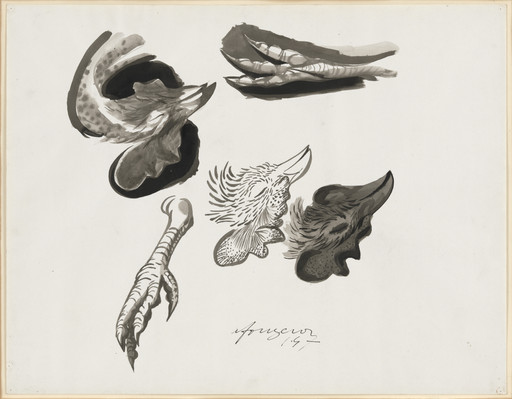 Studies of a Dead Cock
