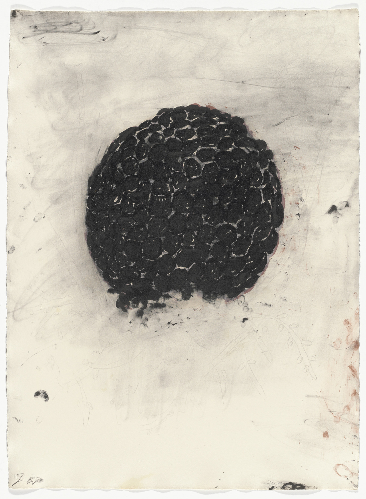 Terry Winters. Two from Folio