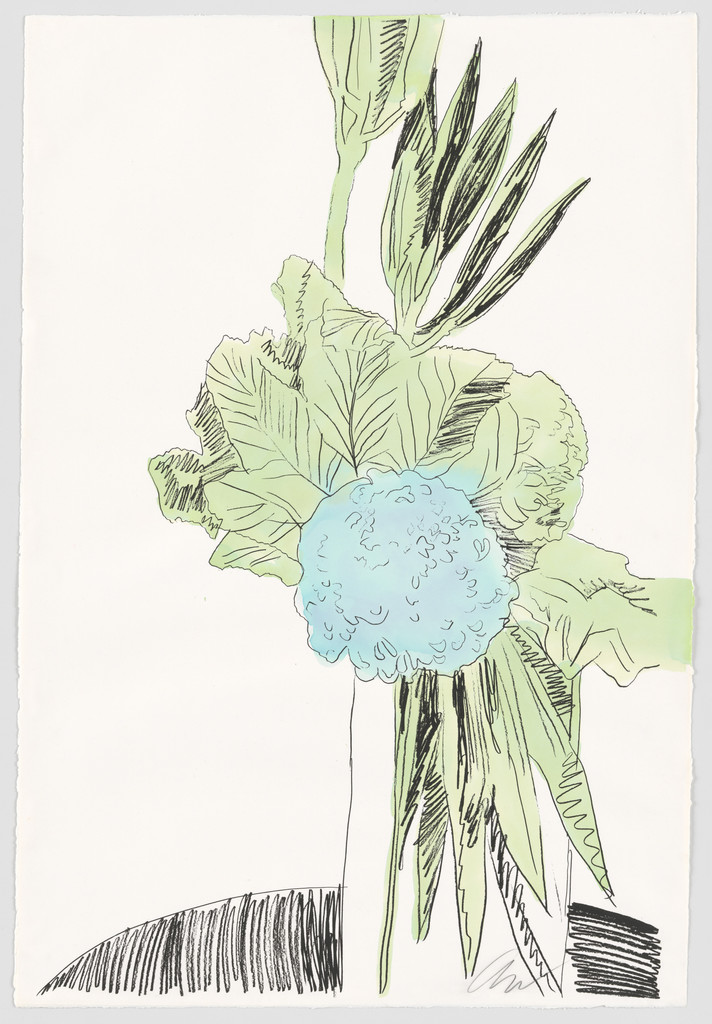 Untitled from Flowers (Hand-Colored)