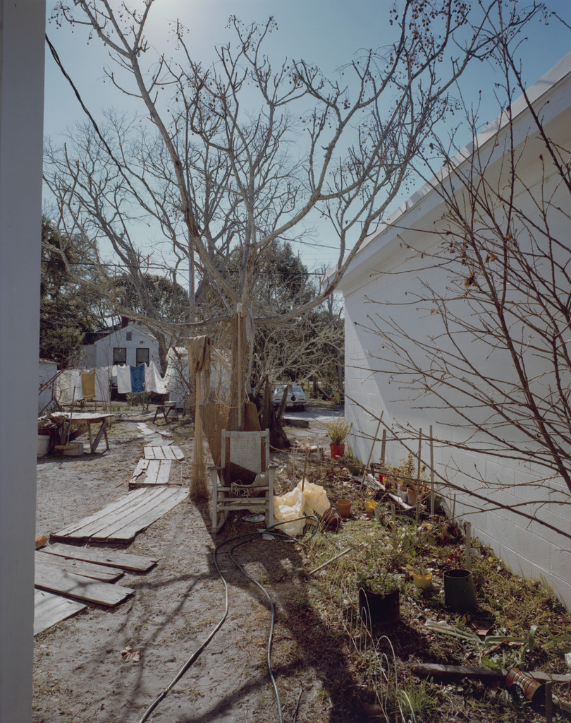 Backyard off U.S. 98, Apalachicola, Florida, February 4, 1976