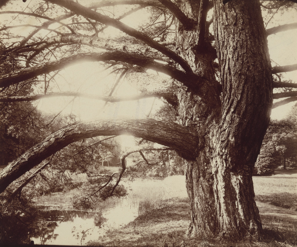 Trianon