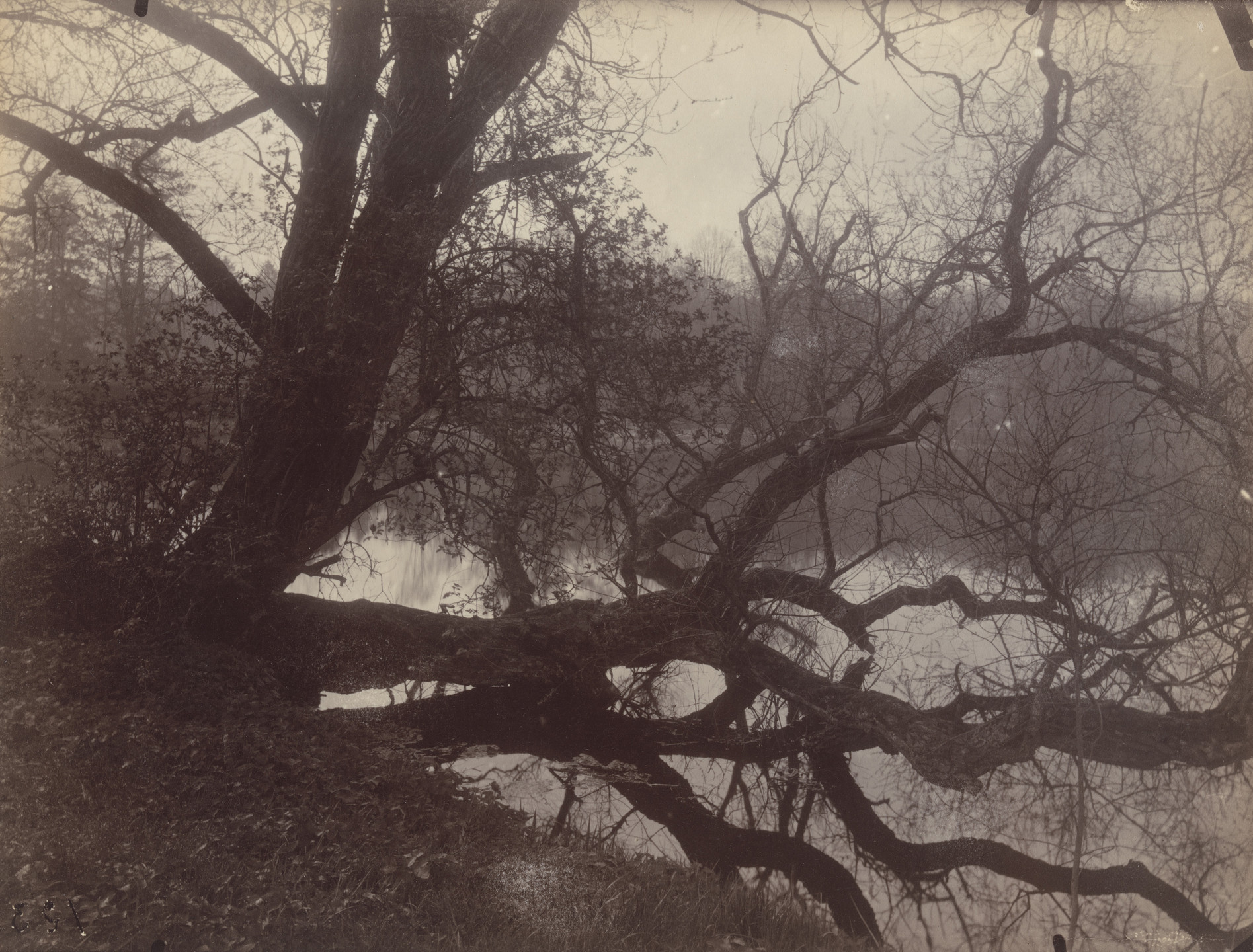 Eugène Atget. Étang de Corot. Juin 1925