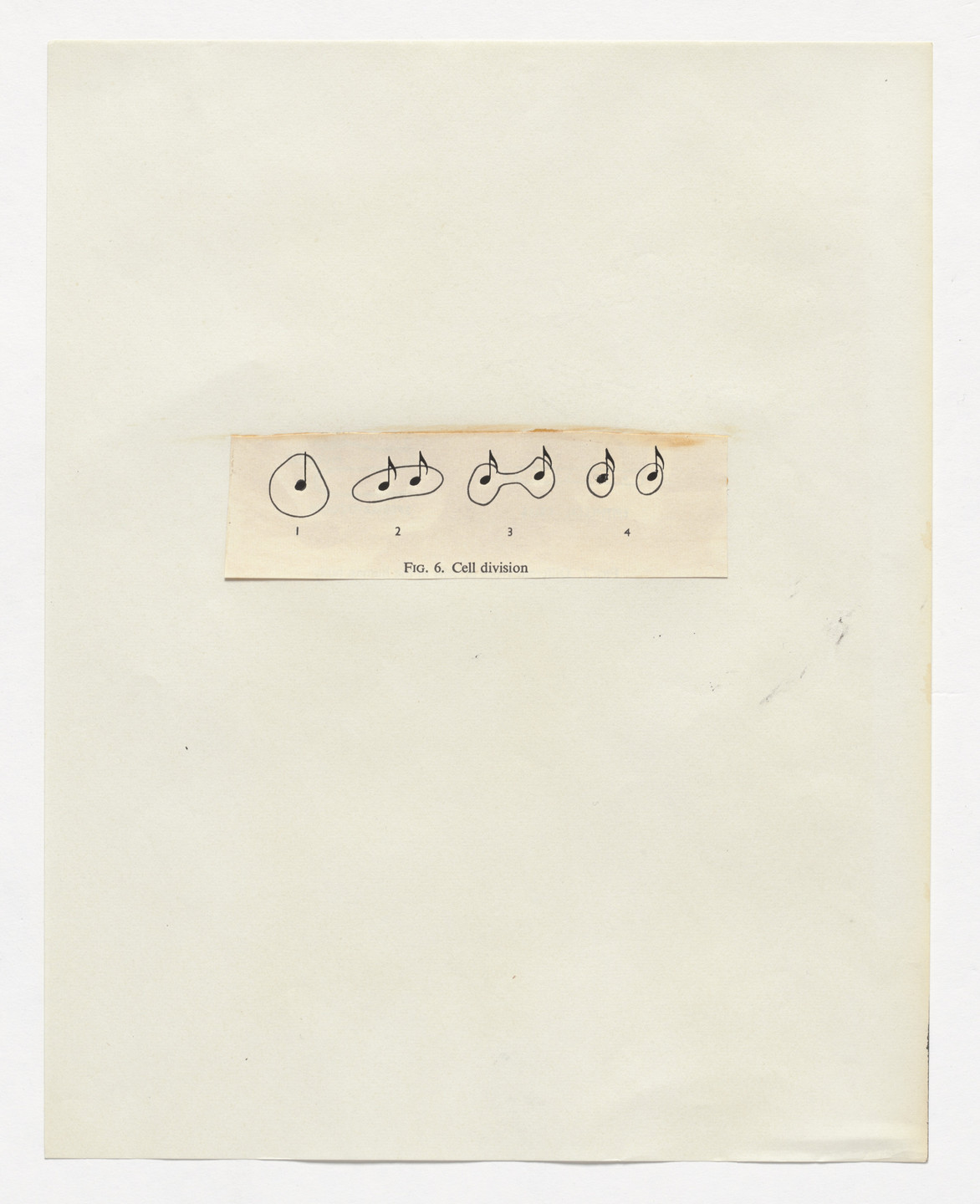 George Brecht. The Chemistry of Music. 1968