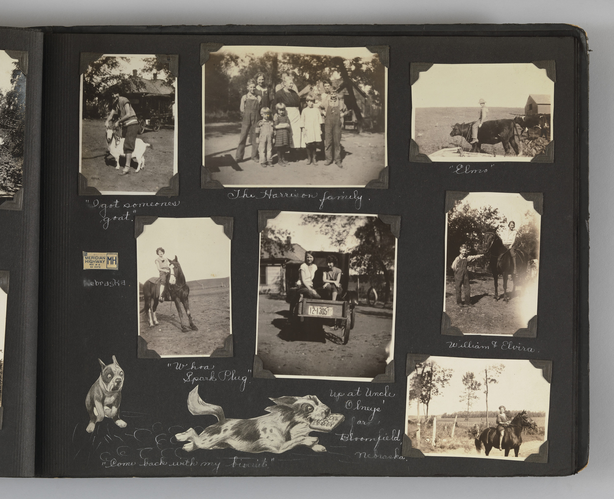 Blanche Parker. The Story of my Life and Friends as Told by Snapshots from Fourteen On