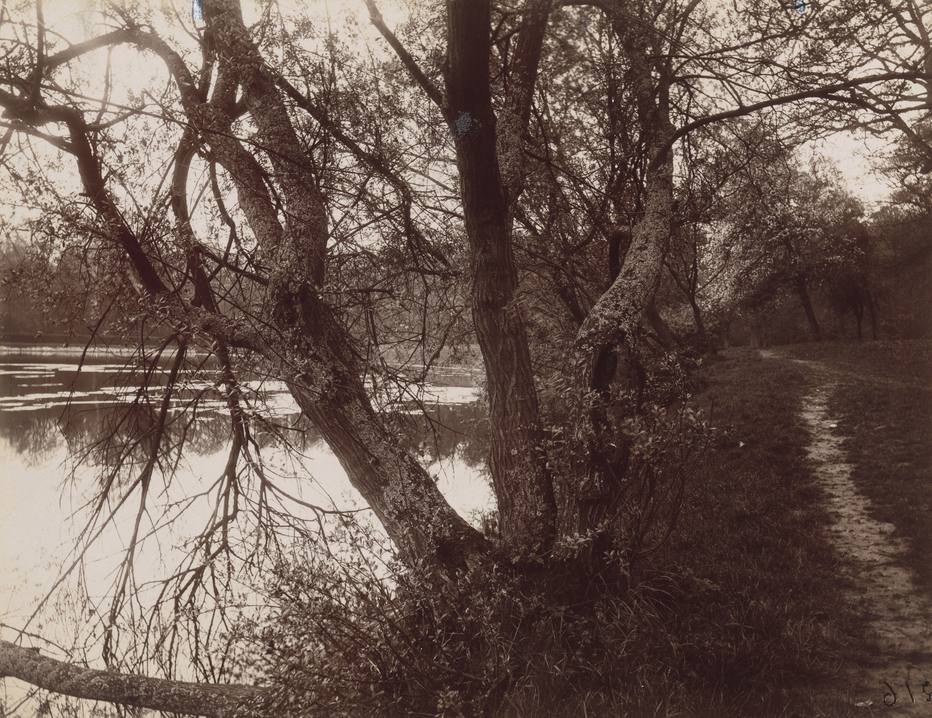 Eugène Atget. Ville-d&#39;Avray. 1923-25