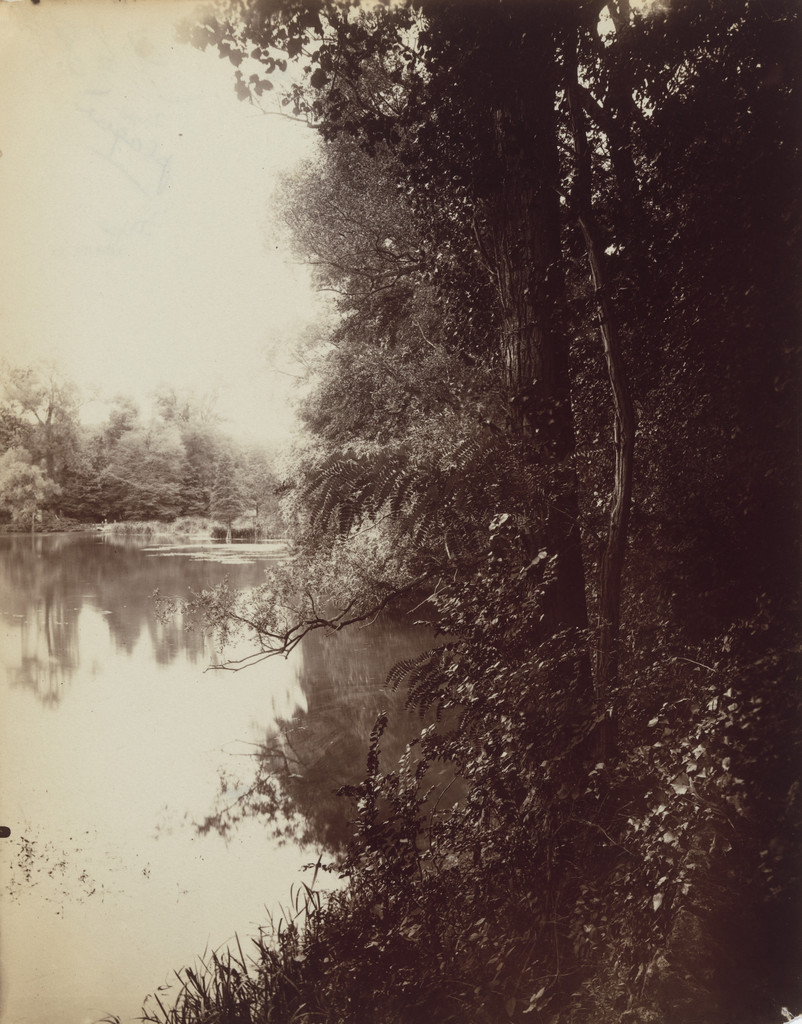 Étang du Plessis-Piquet