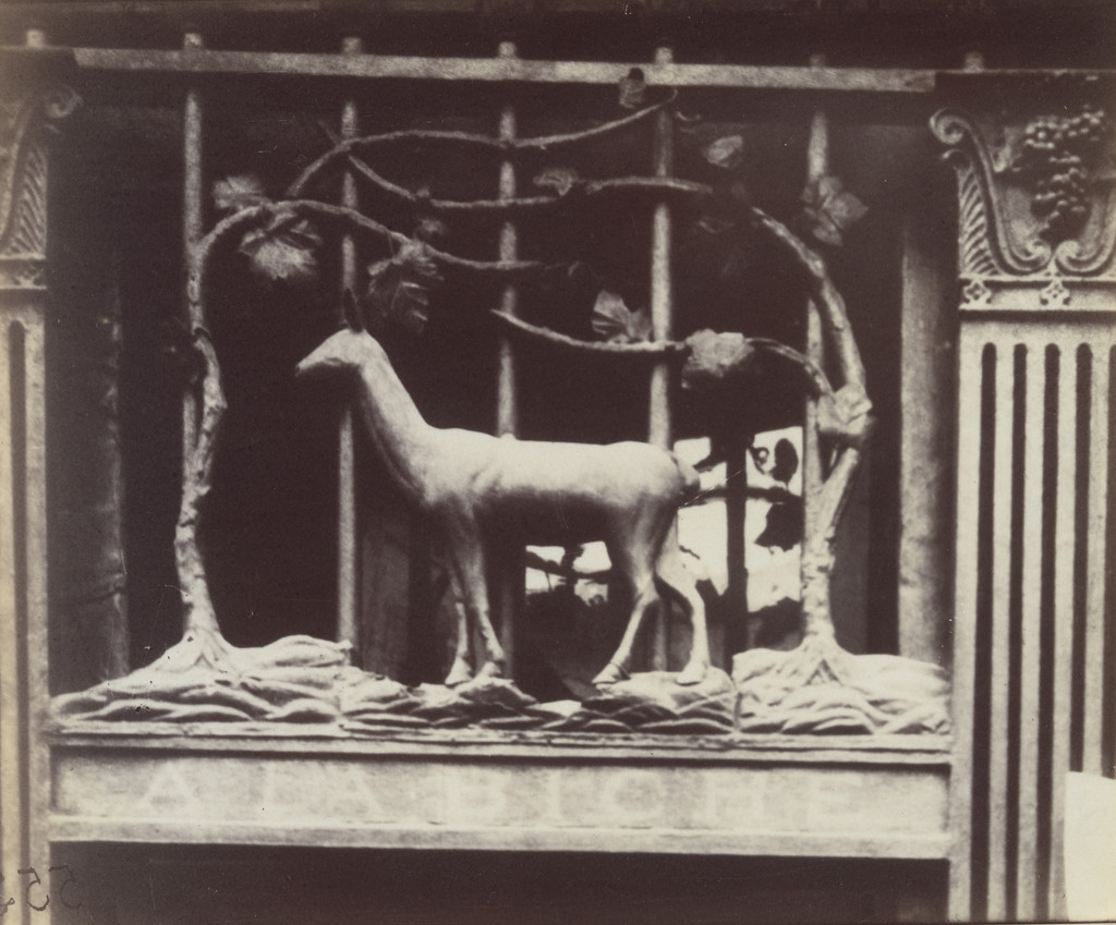 A la Biche, rue Geoffroy-Saint-Hilaire, Eugène Atget, 1905, Albumen silver print