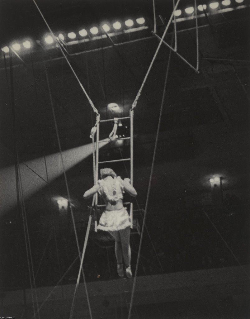 Trapeze Artists