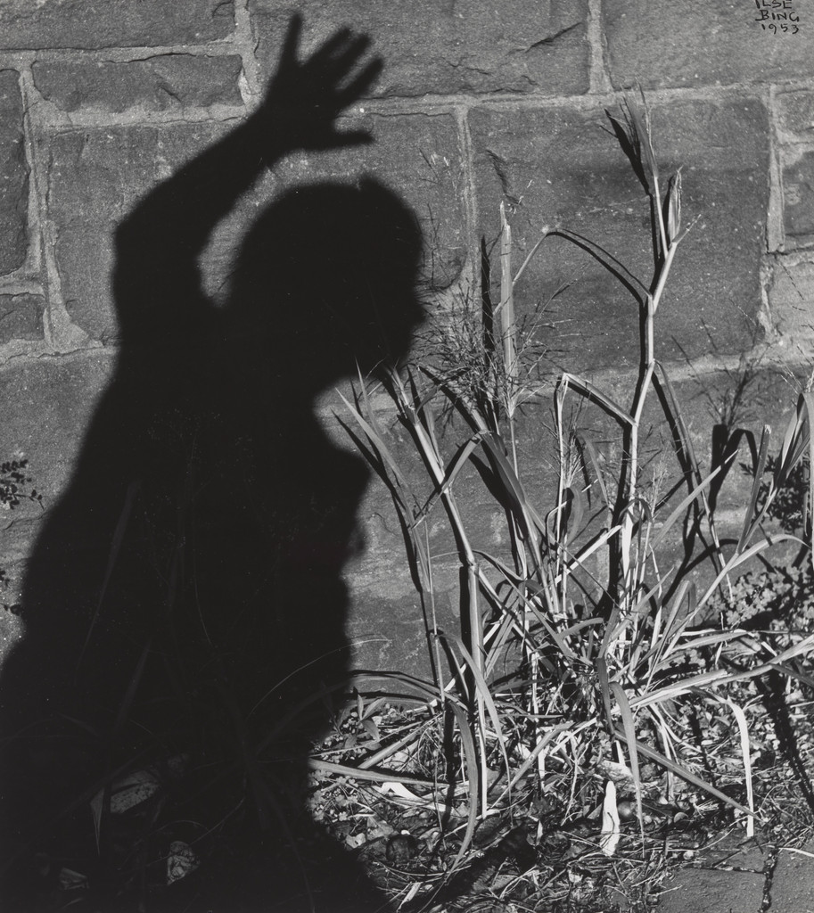 Shadow Self-Portrait, Washington, D.C., Ilse Bing, 1953