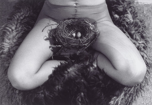 Nest