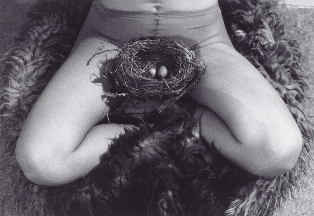 Nest, Birgit Jürgenssen, 1979